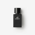 Mr. Burberry Eau de Parfum original product image – JOMASHOP
